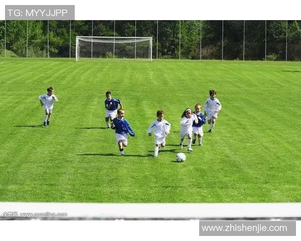 河源足球明星阵容全景展示与精彩瞬间回顾